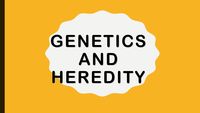 genetics vocabulary genotype and phenotype - Class 5 - Quizizz