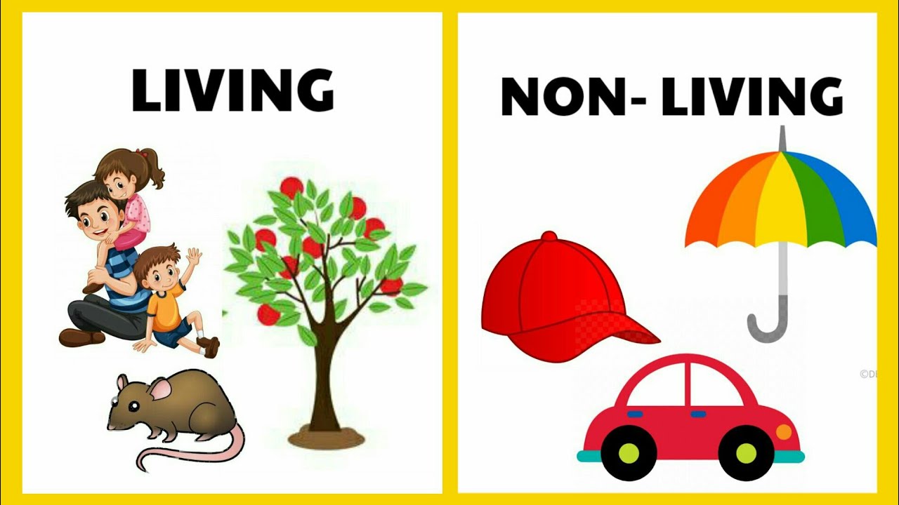 Science Quiz For Kids On Living And Nonliving Things - ProProfs Quiz