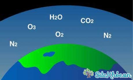 chính quyền bang - Lớp 10 - Quizizz