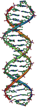 variación genética - Grado 11 - Quizizz