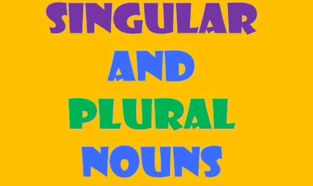 Plural Nouns - Class 7 - Quizizz