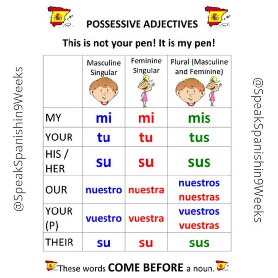 sb2-family-possessive-adjectives-spanish-quizizz