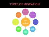 types of reproduction Flashcards - Quizizz