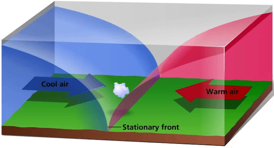 wind patterns with professor bingus questions & answers for quizzes and ...