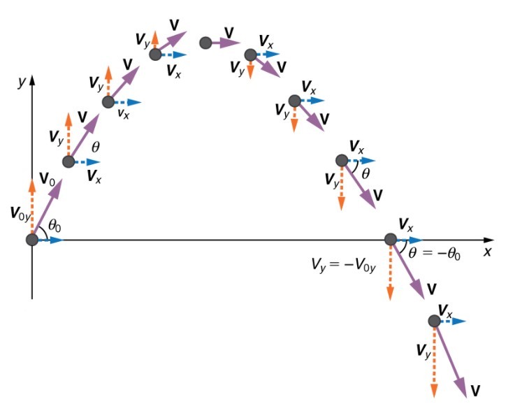 Projectile Motion Graphs | Physics - Quizizz