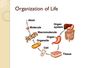 Organization of Life