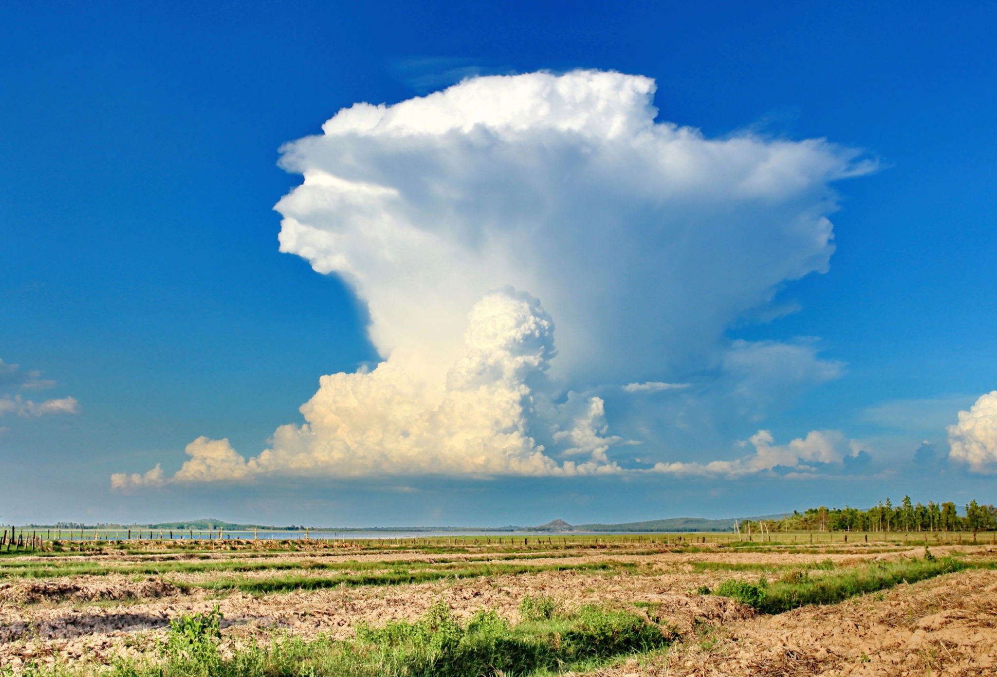 Meteorology quiz Quiz - Quizizz