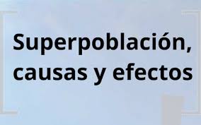 Causas Y Consecuencias De La Sobrepoblación | Quizizz