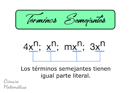 Redacción de opiniones - Grado 8 - Quizizz