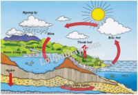 Trớ trêu - Lớp 6 - Quizizz