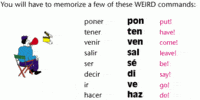 Irregular Plural Forms Flashcards - Quizizz