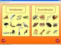 vertebrata dan invertebrata - Kelas 3 - Kuis