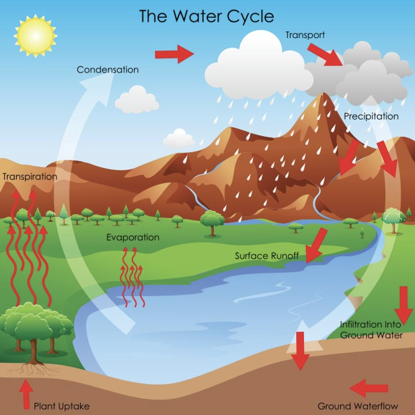 River Key Terms: water cycle | Geography - Quizizz