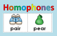 Homophones and Homographs - Grade 1 - Quizizz