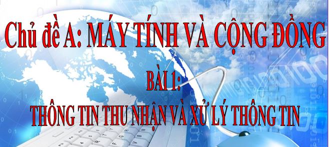 thẩm thấu và săn chắc - Lớp 12 - Quizizz