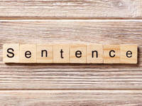 Types of Sentences - Year 8 - Quizizz