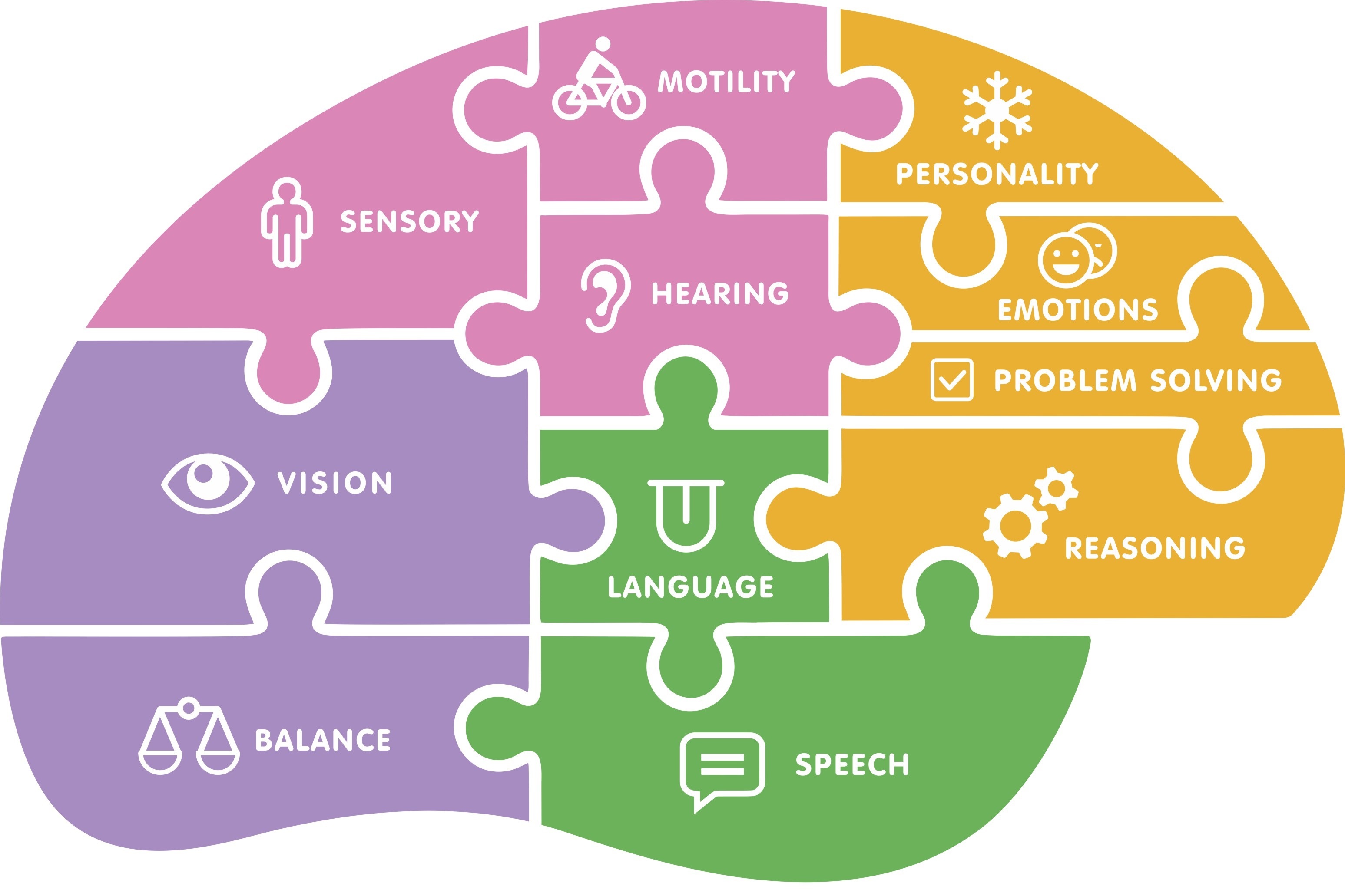 d-ficit-cognitifs-2-quizizz