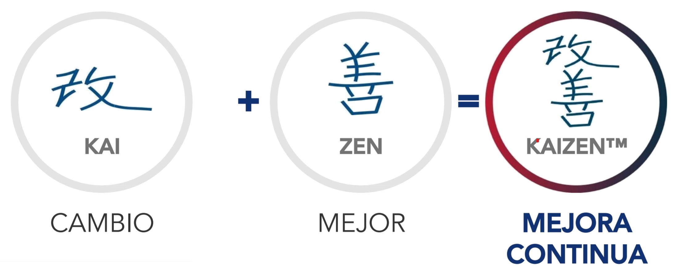 mejoza - Klasa 12 - Quiz