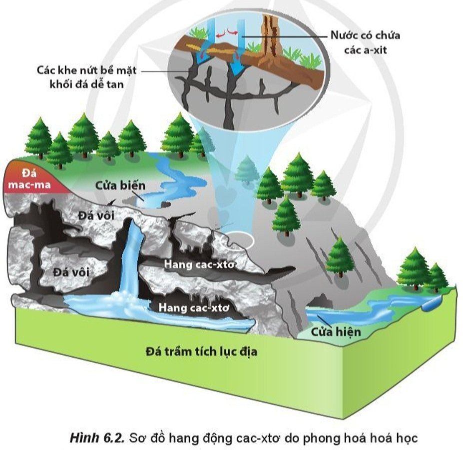 Diện tích bề mặt - Lớp 10 - Quizizz