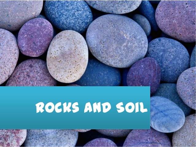 soils - Year 8 - Quizizz