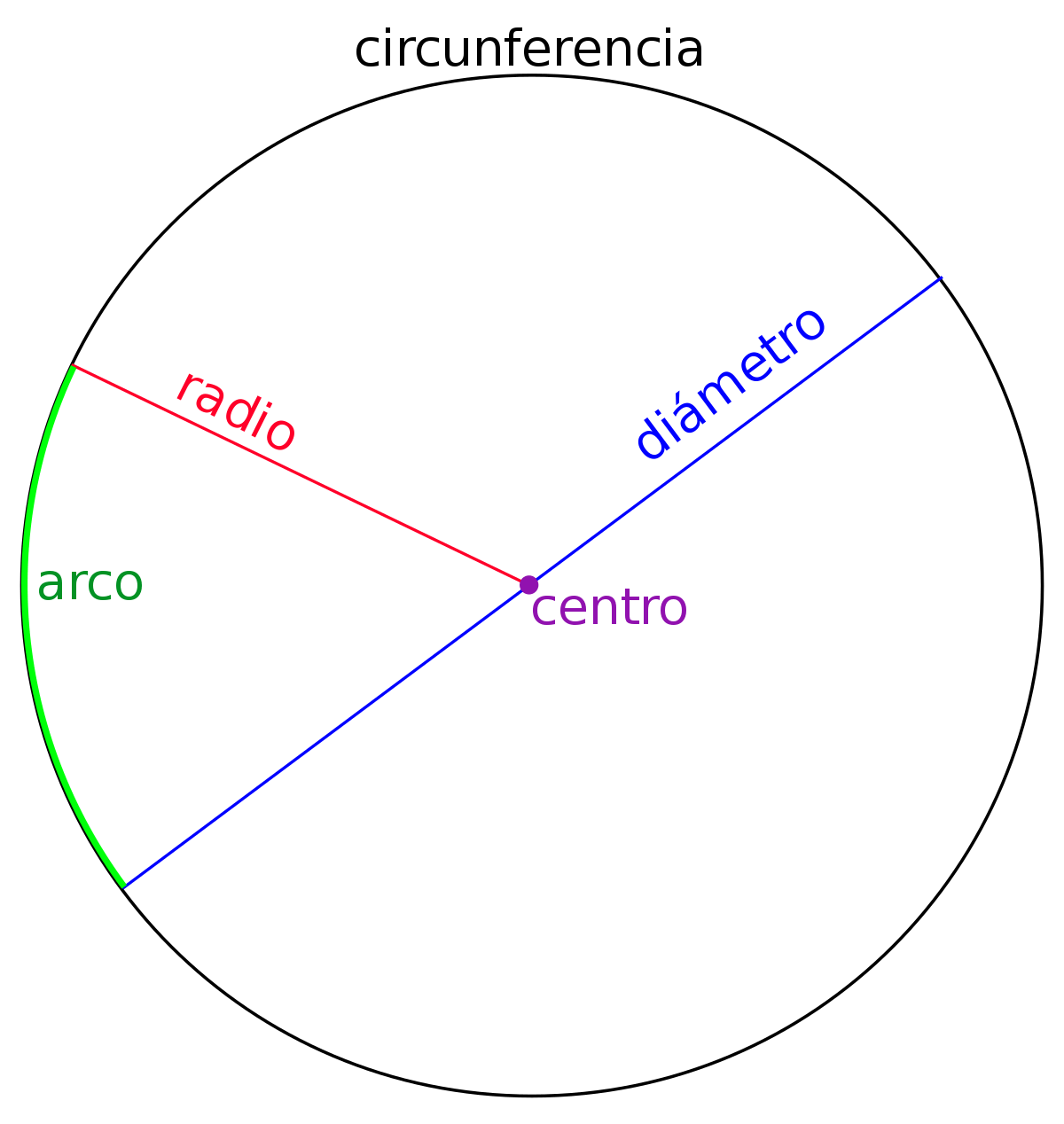 Circunferencia | Mathematics - Quizizz