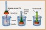 osmosis and tonicity - Year 11 - Quizizz