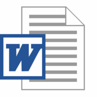 MICROSOFT WORD / Basics