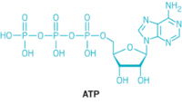 organic chemistry - Grade 12 - Quizizz