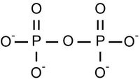 Polyatomic Ions - Grade 11 - Quizizz