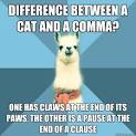 Commas in a Series - Class 12 - Quizizz