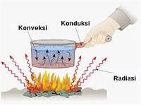 Membuat Koneksi dalam Membaca - Kelas 5 - Kuis