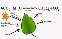 Czas - Klasa 1 - Quiz