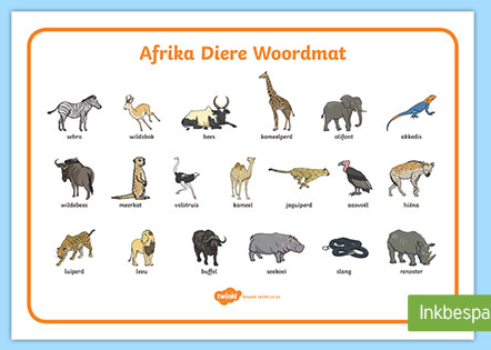 Afrika diere/African Animals | Quizizz