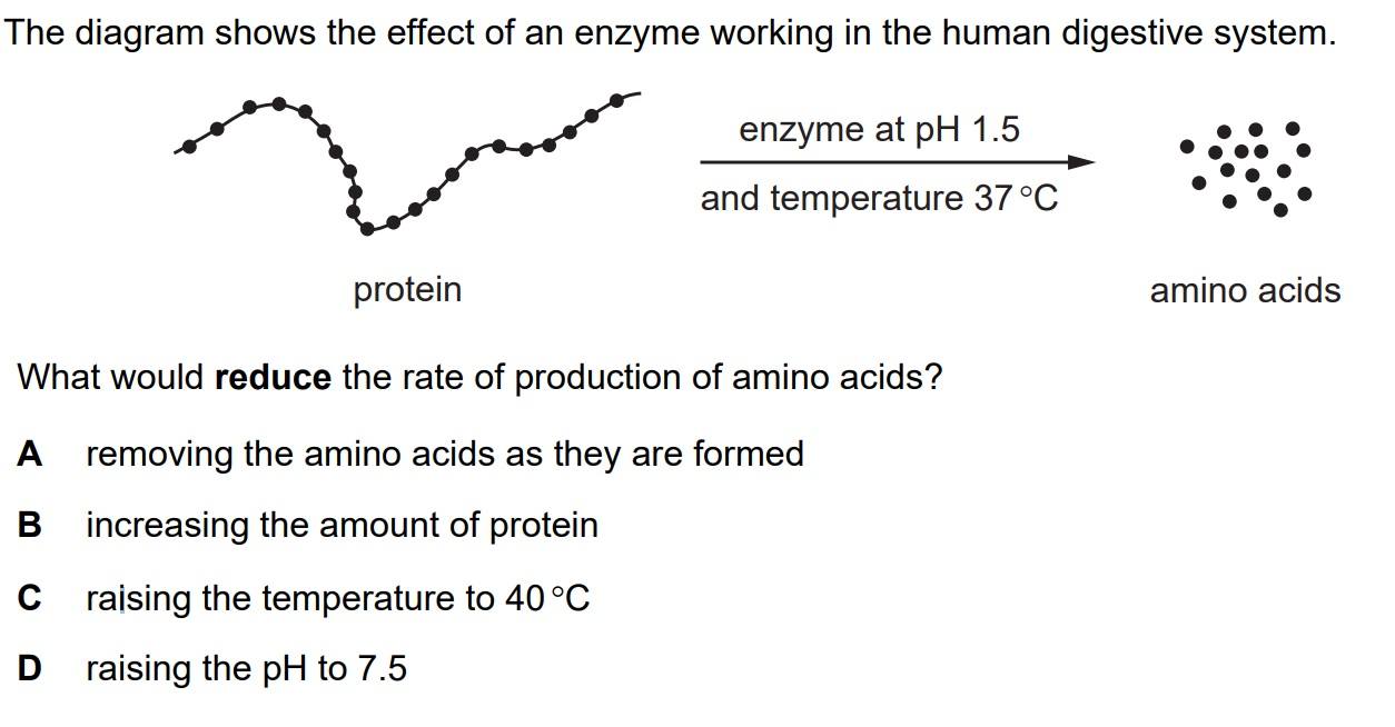 Biology iGCSE Nov 2021 MCQ