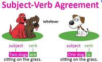 Subject Verb Agreement Grade 5 Questions Answers For Quizzes And 