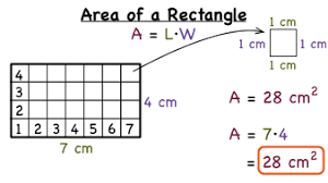 Area of a Rectangle - Class 3 - Quizizz