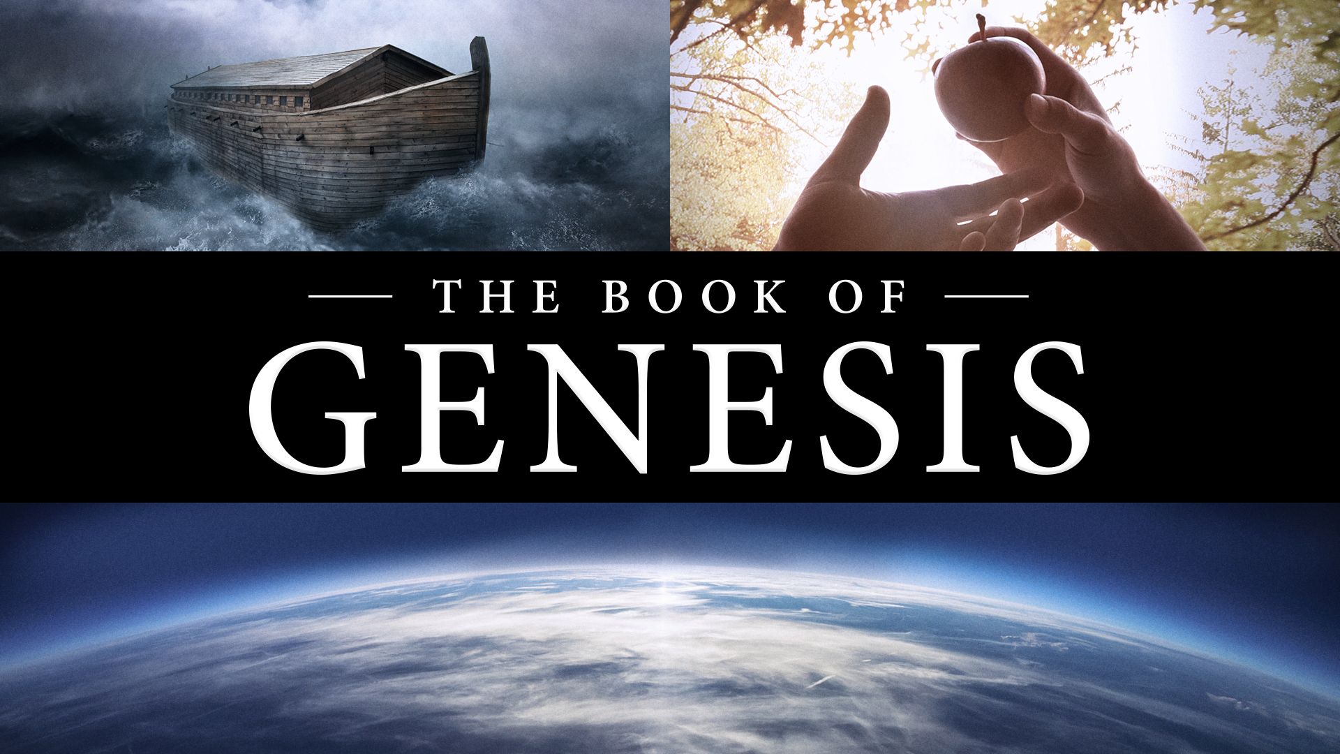 The Book Of Genesis Chapter 1 | History - Quizizz