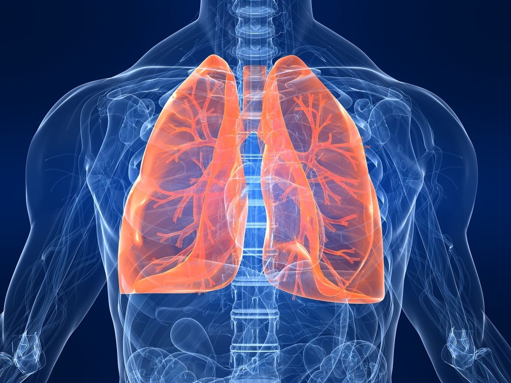 Assessing Thorax & Lungs