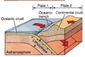 Plate Tectonics Final