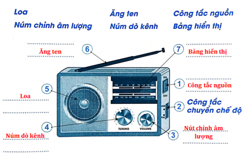 Sơ đồ thính giác - Lớp 9 - Quizizz