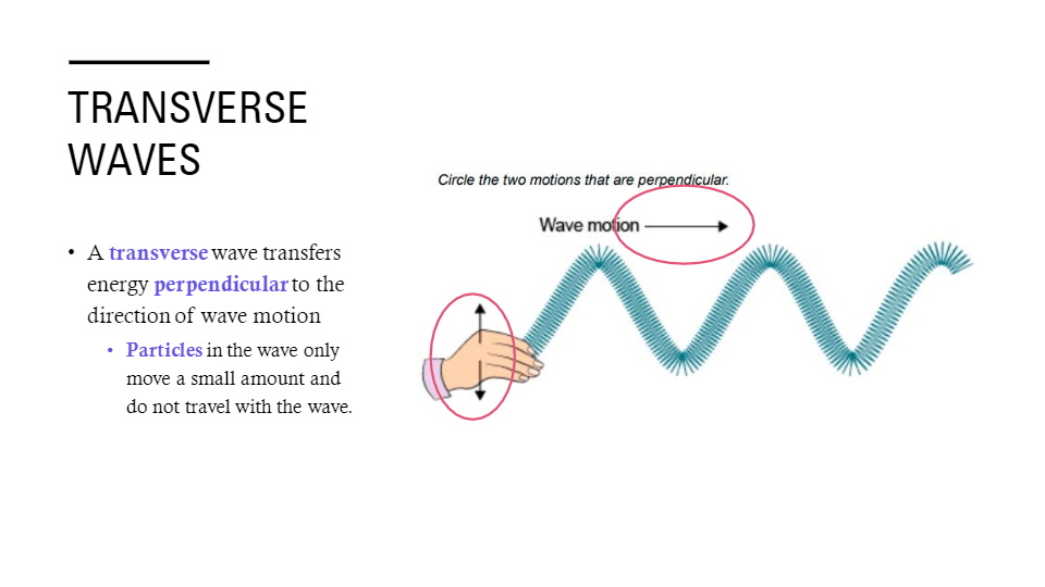 Introduction to Waves | Science - Quizizz