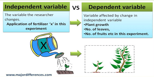 INDEPENDENT AND DEPENDENT VARIABLES GAME AFTER THE THIRD REV | Quizizz