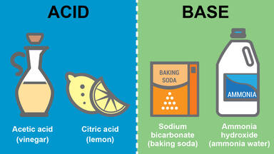 Acids and Bases