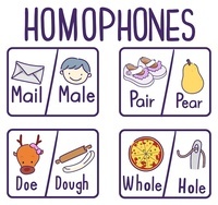 Homophones and Homographs - Class 9 - Quizizz