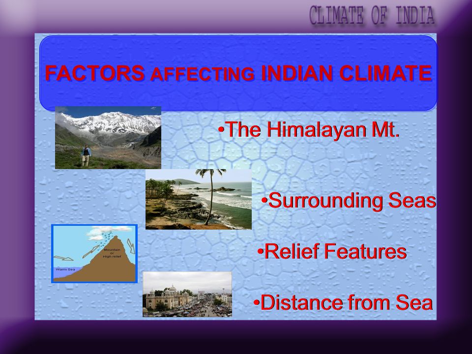 factors-affect-climate-of-india-social-studies-quizizz