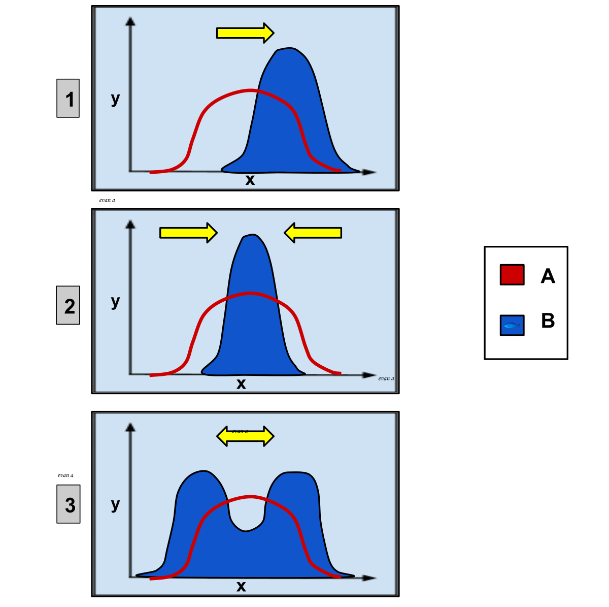 types-of-natural-selection-science-quizizz