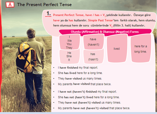 Present Perfect Tense English Quizizz