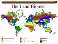 Land Biomes