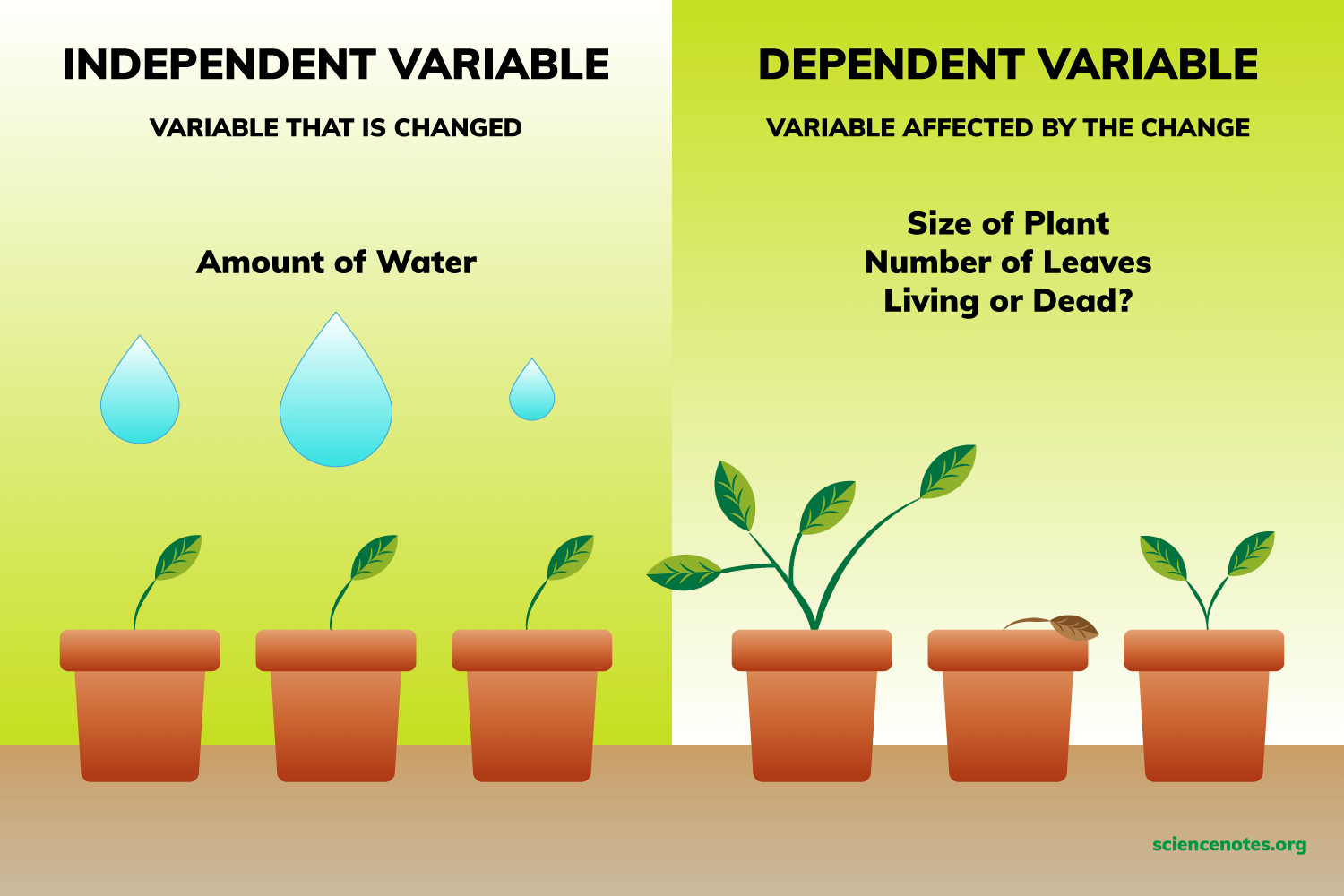 dependent variables - Year 9 - Quizizz