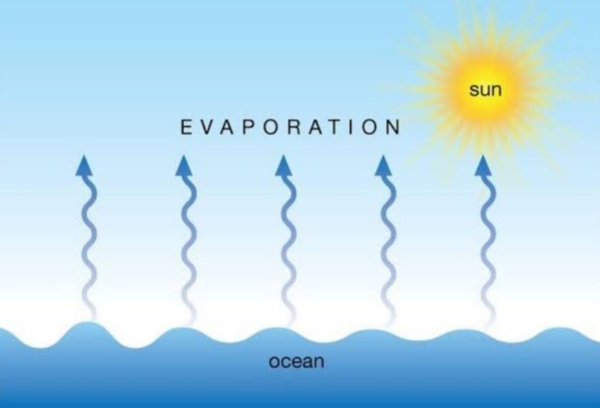 Evaporation | Science - Quizizz